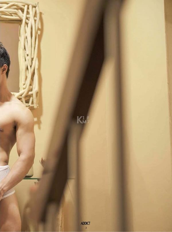 Addict--The-Premium-Issue